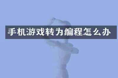 手机游戏转为编程怎么办