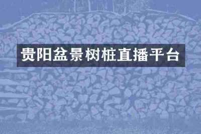 贵阳盆景树桩直播平台