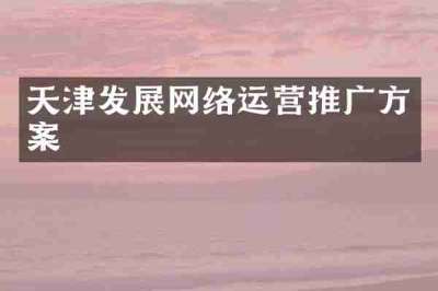 天津发展网络运营推广方案