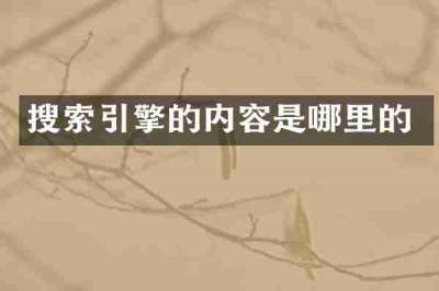 搜索引擎的内容是哪里的