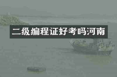 二级编程证好考吗河南