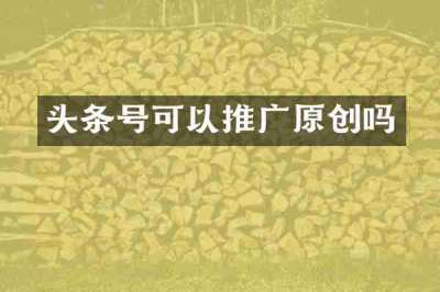 头条号可以推广原创吗