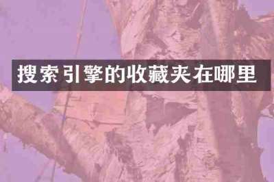 搜索引擎的收藏夹在哪里