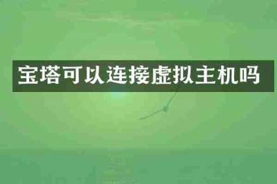 宝塔可以连接虚拟主机吗