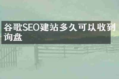谷歌SEO建站多久可以收到询盘