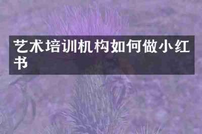 艺术培训机构如何做小红书