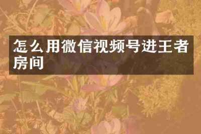 怎么用微信视频号进王者房间