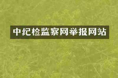 中纪检监察网举报网站