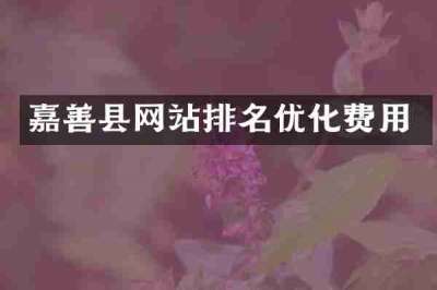 嘉善县网站排名优化费用