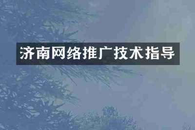 济南网络推广技术指导