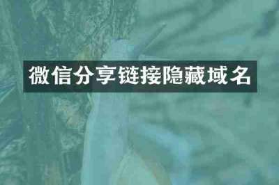 微信分享链接隐藏域名