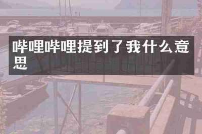 哔哩哔哩提到了我什么意思