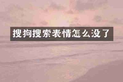 搜狗搜索表情怎么没了