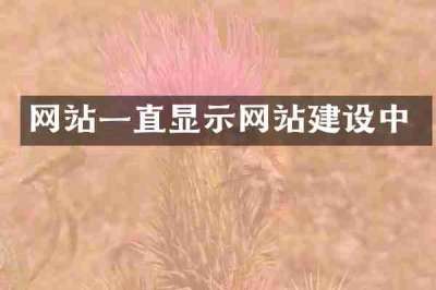 网站一直显示网站建设中