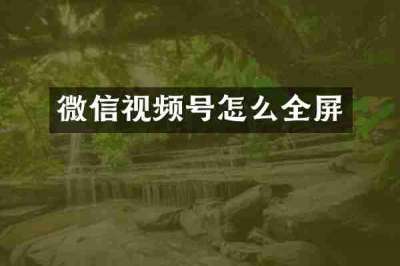 微信视频号怎么全屏