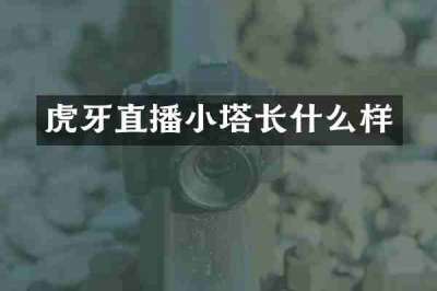 虎牙直播小塔长什么样