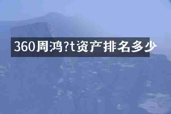 360周鸿?t资产排名多少