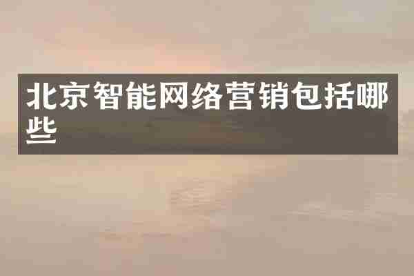 北京智能网络营销包括哪些