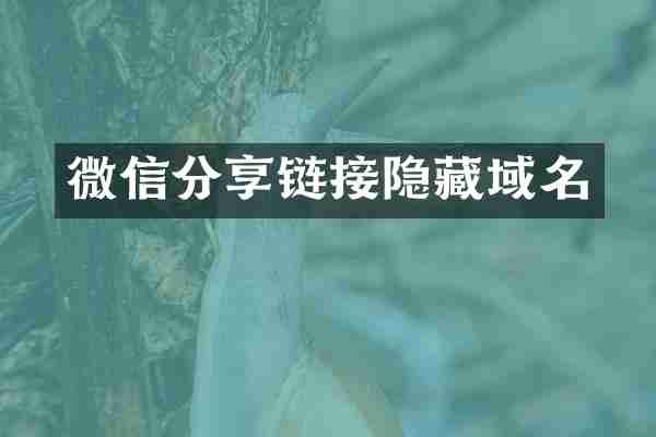 微信分享链接隐藏域名