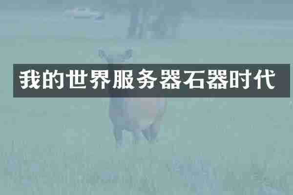 我的世界服务器石器时代