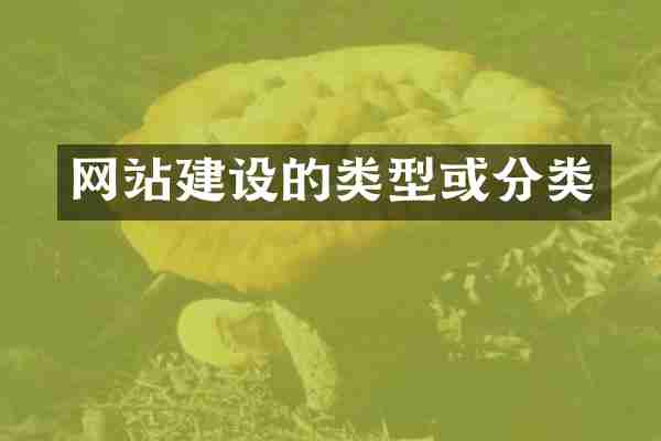 网站建设的类型或分类