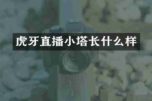 虎牙直播小塔长什么样