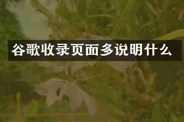谷歌收录页面多说明什么