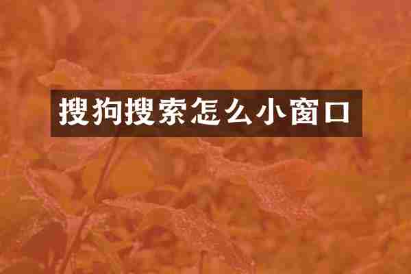 搜狗搜索怎么小窗口