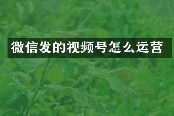 微信发的视频号怎么运营
