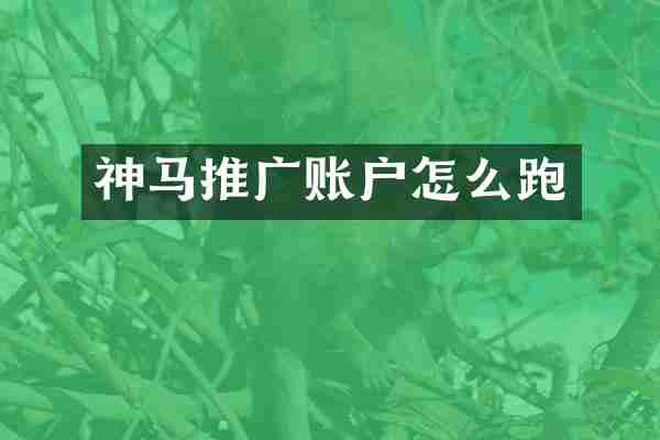 神马推广账户怎么跑