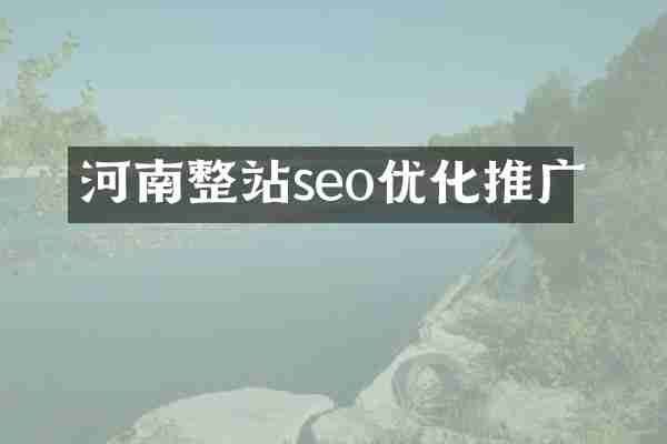 河南整站seo优化推广