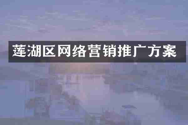 莲湖区网络营销推广方案