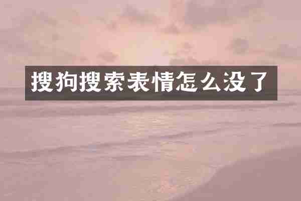 搜狗搜索表情怎么没了