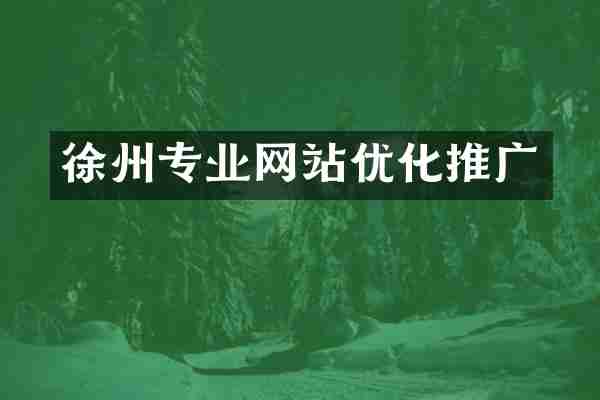 徐州专业网站优化推广