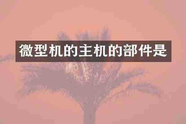 微型机的主机的部件是