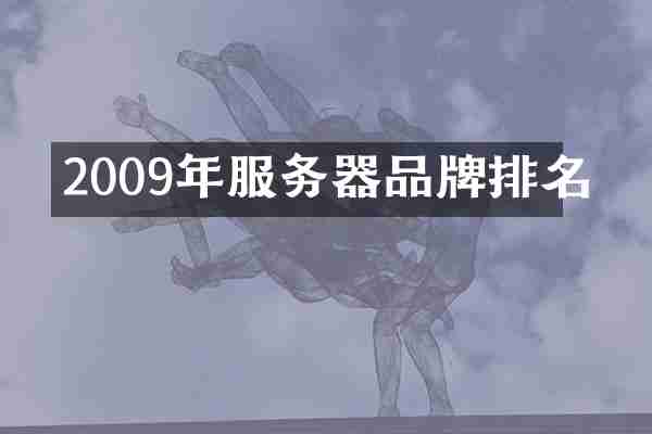 2009年服务器品牌排名