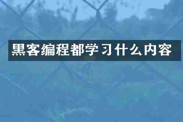 黑客编程都学习什么内容