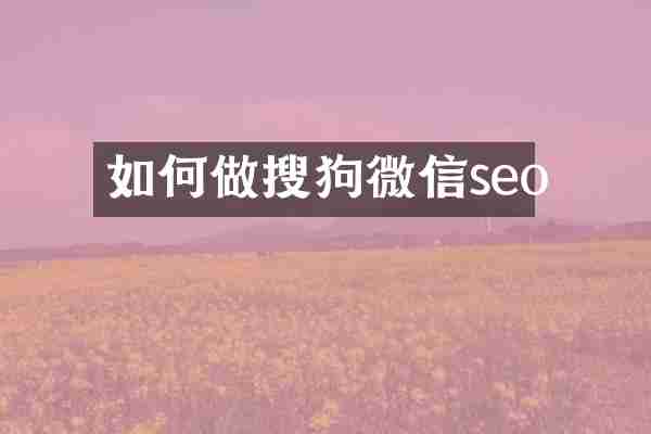 如何做搜狗微信seo