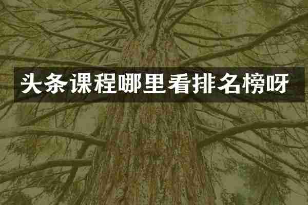 头条课程哪里看排名榜呀