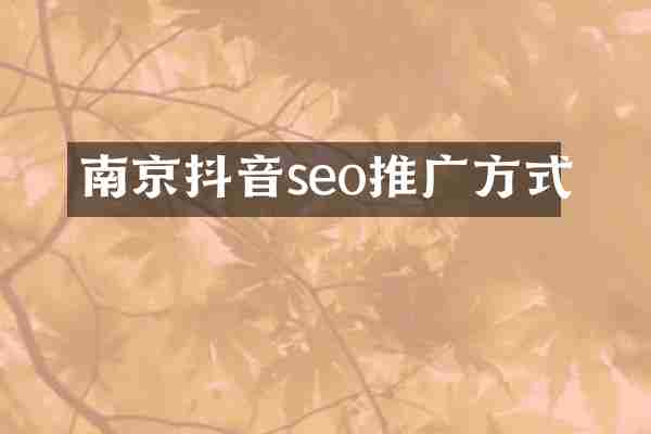 南京抖音seo推广方式