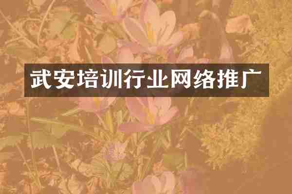 武安培训行业网络推广