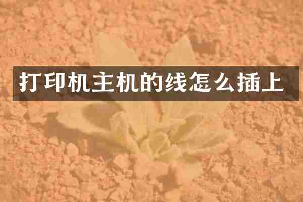 打印机主机的线怎么插上
