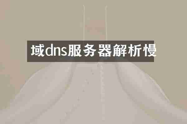 域dns服务器解析慢