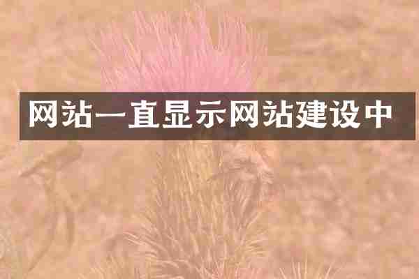 网站一直显示网站建设中