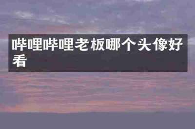 哔哩哔哩老板哪个头像好看
