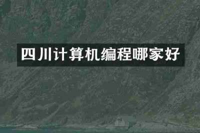 四川计算机编程哪家好