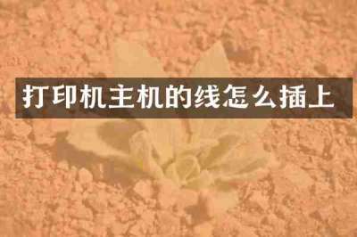 打印机主机的线怎么插上