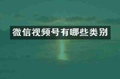 微信视频号有哪些类别