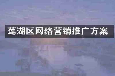 莲湖区网络营销推广方案