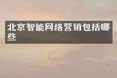 北京智能网络营销包括哪些